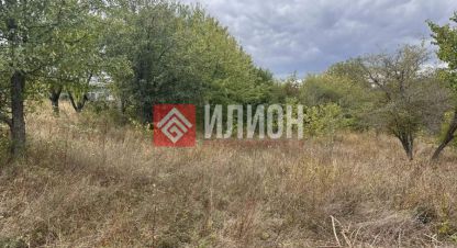 Купить земельный участок в г. Пионерское . Фотография №2 Купить земельный участок в г. Пионерское . Фотография №2