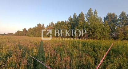 Продаётся земельный участок в г. Кострома. Фотография №7