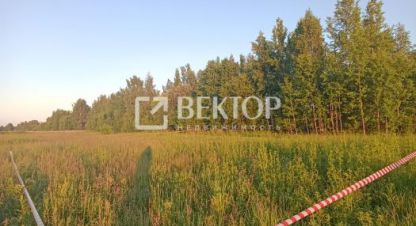 Купить земельный участок в г. Кострома. Фотография №2