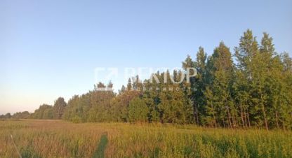 Купить земельный участок, Россия, г. Кострома. Фотография №8