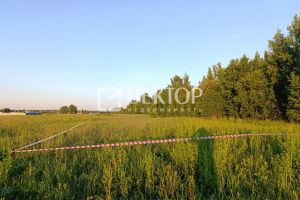 Продам земельный участок, г. Кострома, Костромская обл., Россия, агентство Вектор Продам земельный участок, г. Кострома, Костромская обл., Россия, агентство Вектор