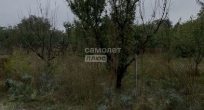 Продаётся земельный участок в г. Монтажник снт. Фотография №6 Продаётся земельный участок в г. Монтажник снт. Фотография №6