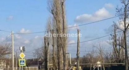 Купить земельный участок на улице Евгения селютина г. Полюшко. Фотография №5 Купить земельный участок на улице Евгения селютина г. Полюшко. Фотография №5