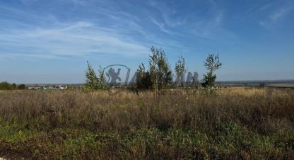 Купить земельный участок в г. Кирби. Фотография №3 Купить земельный участок в г. Кирби. Фотография №3