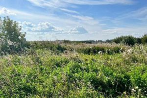 Продам земельный участок, на улице Заячья ул, г. Прудный, Челябинская обл., Россия, агентство Акрземли