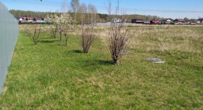 Купить земельный участок. Фотография №1 Продам земельный участок, на улице Ромашковая ул, г. Красное поле, Челябинская обл., Россия, агентство Акрземли. Фотография №1