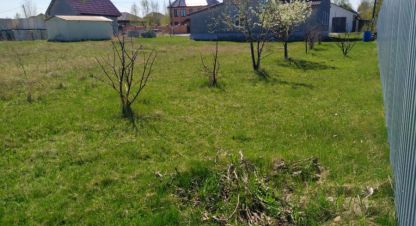 Купить земельный участок в г. Красное поле. Фотография №3 Купить земельный участок в г. Красное поле. Фотография №3