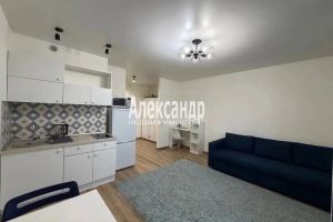 Продам квартиру с общей площадью 25.3м2, 6/18 эт., на улице Екатерининская, Всеволожский район, г. Мурино, Ленинградская обл., Россия, агентство Александр-Недвижимость