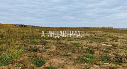 Купить земельный участок г. Долматово. Фотография №4 Купить земельный участок г. Долматово. Фотография №4