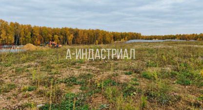 Купить земельный участок в г. Долматово. Фотография №3 Купить земельный участок в г. Долматово. Фотография №3