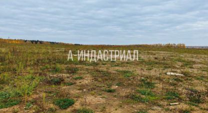 Купить земельный участок г. Долматово. Фотография №5 Купить земельный участок г. Долматово. Фотография №5