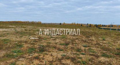Продаётся земельный участок в г. Долматово. Фотография №6 Продаётся земельный участок в г. Долматово. Фотография №6