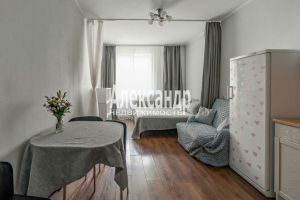 Продам квартиру с общей площадью 24.5м2, 11/24 эт., на улице Охтинская аллея, Всеволожский район, г. Мурино, Ленинградская обл., Россия, агентство Александр-Недвижимость