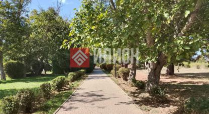 Купить земельный участок на улице Приусадебная г. Андреевка. Фотография №4 Купить земельный участок на улице Приусадебная г. Андреевка. Фотография №4