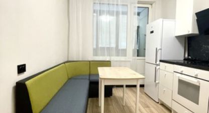 Снять квартиру 1 комнатную, 30.7 кв. м., Россия, г. Заневскоеское поселение, кудрово. Фотография №9