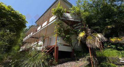 Купить земельный участок в г. Сочи. Фотография №3