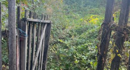 Купить земельный участок на улице Шолохова ул г. Апшеронск. Фотография №4 Купить земельный участок на улице Шолохова ул г. Апшеронск. Фотография №4