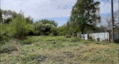 Купить земельный участок в г. Светлый. Фотография №3 Купить земельный участок в г. Светлый. Фотография №3