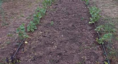 Купить земельный участок, Россия, г. Куйбышев. Фотография №8