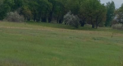 Купить земельный участок на улице Центральная г. Куйбышев. Фотография №4