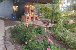 Продам земельный участок, на улице Центральная, г. Куйбышев, Волгоградская обл., Россия, агентство Агентство недвижимости "Партнёр" Продам земельный участок, на улице Центральная, г. Куйбышев, Волгоградская обл., Россия, агентство Агентство недвижимости "Партнёр"