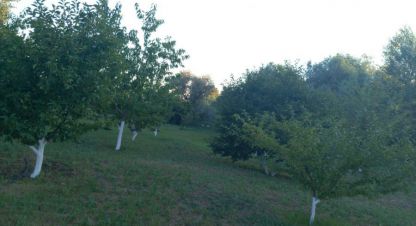 Купить земельный участок, Россия, г. Куйбышев. Фотография №9