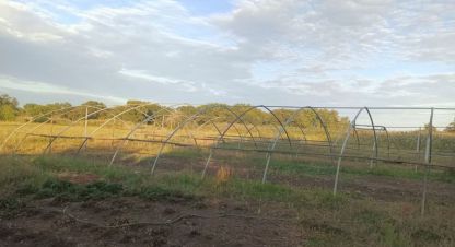 Купить земельный участок на улице Центральная г. Куйбышев. Фотография №5