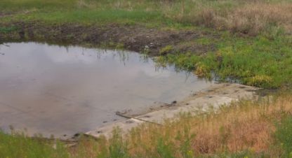 Купить земельный участок в г. Куйбышев. Фотография №3