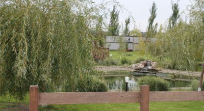 Купить земельный участок в г. Бурковский х. Фотография №2 Купить земельный участок в г. Бурковский х. Фотография №2