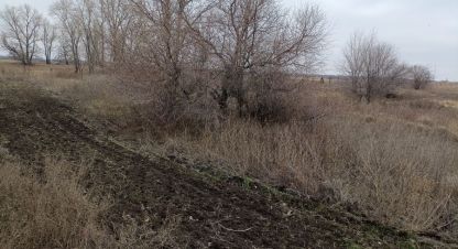 Купить земельный участок в г. Бурковский х. Фотография №2 Купить земельный участок в г. Бурковский х. Фотография №2