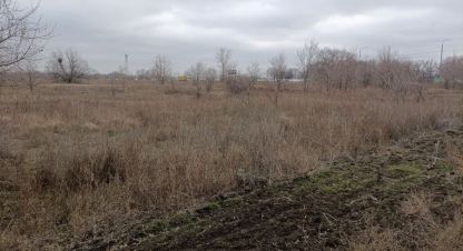 Купить земельный участок в г. Бурковский х. Фотография №3 Купить земельный участок в г. Бурковский х. Фотография №3