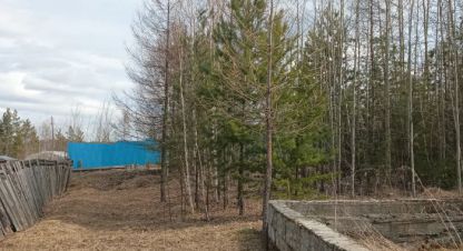 Купить земельный участок. Фотография №1 Продам земельный участок, на улице Парковая, Левый берег район, г. Усть-Илимск, Иркутская обл., Россия, агентство Агентство Недвижимости ЖФ-Илим. Фотография №1