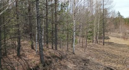 Продаётся земельный участок в г. Усть-Илимск. Фотография №7 Продаётся земельный участок в г. Усть-Илимск. Фотография №7