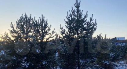 Купить земельный участок в г. Карлук. Фотография №2