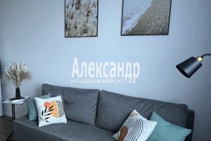 Продам квартиру с общей площадью 21.8м2, 23/24 эт., на улице Ленинградская всеволожский  мурино авиаторов балтики, Всеволожский район, г. Мурино, Ленинградская обл., Россия, агентство Александр-Недвижимость