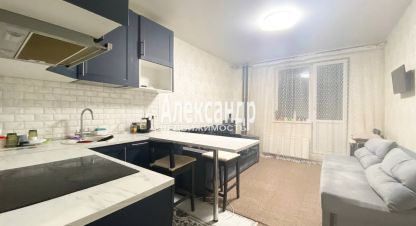 Продам квартиру с общей площадью 25.2м2, 15/24 эт., на улице Ленинградская всеволожский  мурино охтинская аллея 14 подъезд, Всеволожский район, г. Мурино, Ленинградская обл., Россия, агентство Александр-Недвижимость. Фотография №1