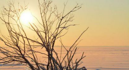 Продам земельный участок, на улице Малая канонерская ул, г. Сестрорецк, Санкт-Петербург, Россия, агентство Адмирал. Фотография №1