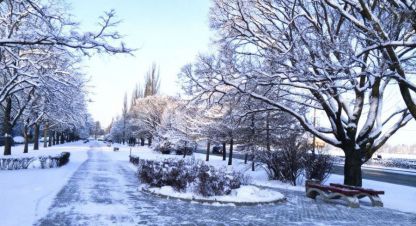 Купить земельный участок на улице Малая канонерская ул г. Сестрорецк. Фотография №5