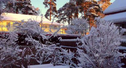 Продаётся земельный участок в г. Сестрорецк. Фотография №7