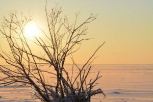 Продам земельный участок, на улице Малая канонерская ул, г. Сестрорецк, Санкт-Петербург, Россия, агентство Адмирал