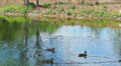 Купить дом 3-х комнатную, 120 кв. м., Россия, г. Горячий Ключ. Фотография №10