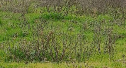 Продам земельный участок, на улице Янтарная ул, Прикубанский окр район, г. Краснодар, Краснодарский край, Россия, агентство Мореон Инвест. Фотография №1