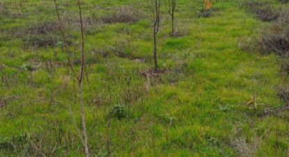 Купить земельный участок в г. Краснодар. Фотография №2