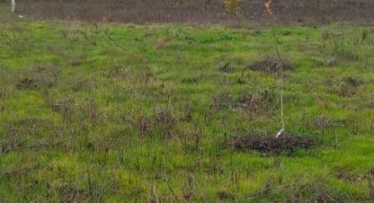 Купить земельный участок в г. Краснодар. Фотография №3