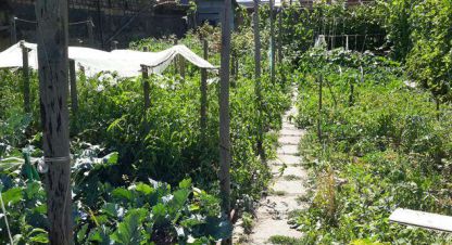 Купить 3-х комнатную дом в г. Ростов-на-Дону. Фотография №2 Купить 3-х комнатную дом в г. Ростов-на-Дону. Фотография №2