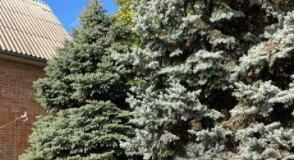 Купить дом на улице Ярослава галана г. Ростов-на-Дону. Фотография №5 Купить дом на улице Ярослава галана г. Ростов-на-Дону. Фотография №5