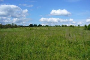 Продам земельный участок, г. Жилой комплекс новорижский, Московская обл., Россия, агентство Absolute Realty Advisors