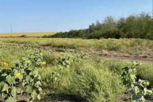 Продам земельный участок, на улице Нова, г. Соколовское , Кировоградская обл., Украина, агентство Aspo.biz