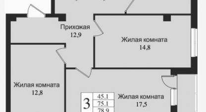 Купить 3-х комнатную квартиру в г. Всеволожск. Фотография №2