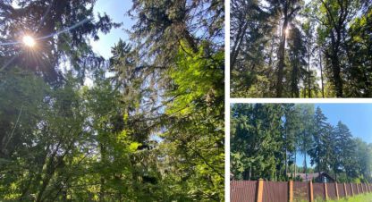 Купить земельный участок в г. Грибово коттеджный пок. Фотография №3